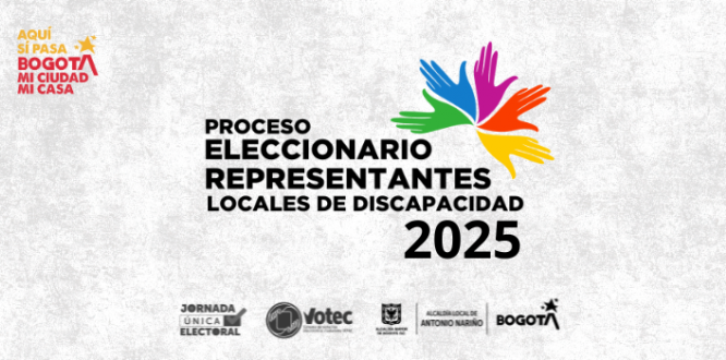 Bogotá eligió a sus representantes locales de Discapacidad