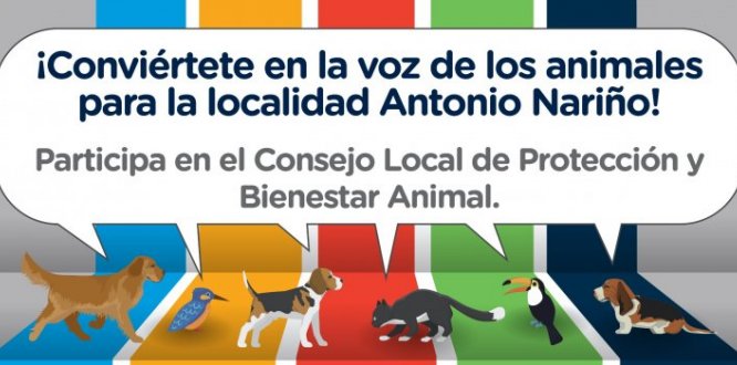 Consejo Local PYBA
