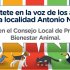 Consejo Local PYBA
