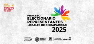 Bogotá eligió a sus representantes locales de Discapacidad